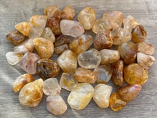 Image of GAF TREASURES 1 /2 LB Golden Healer Quartz Tumbled Stones, Polished Natural Golden Healer Quartz Gemstone, Golden Healer Quartz Healing Crystals (Golden Healer Quartz)