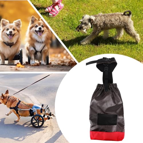 Saco de arrastre para perros con movilidad reducida: protege sus patas traseras 5
