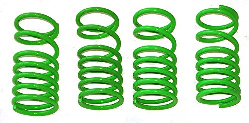 RC RavenE-Revo or Revo 3.3 Green Dual Rate Shock Springs Set