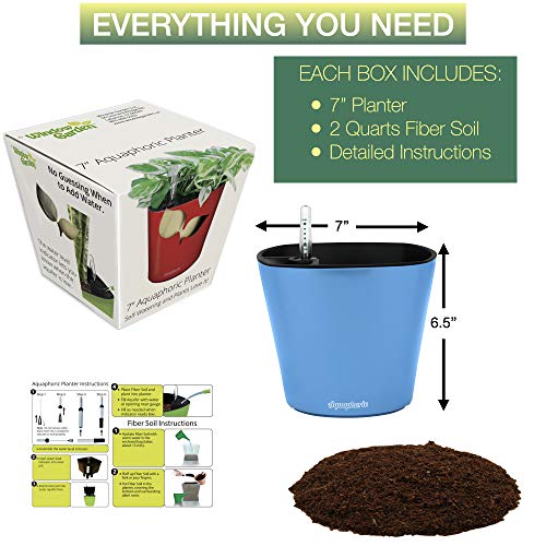 Window Garden Aquaphoric Self Watering Planter (7”) + Fiber Soil = Foolproof Indoor Garden. Decorative Planter Pot for House Plants, Flowers, Herbs, Violets, Succulents. Easy Looks Great.