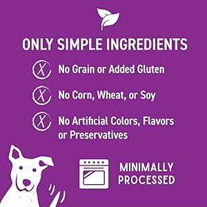 Cloud Star Wag More Bark Less 10 oz Grain Free Jerky Dog Treats with Duck & Apple Cloud Star Wag More Bark Less 10 oz Grain Free Jerky Dog Treats with Duck & Apple