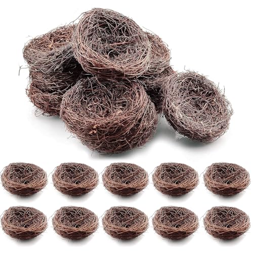 Exasinine 10 Pcs Artificial Bird Nests for Crafts...