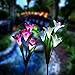 Outdoor Solar Garden Stake Lights - New Upgraded Solar Garden Lights, Multi-Color Changing LED Solar Decorative Lights Garden, Patio, Backyard (Purple White)