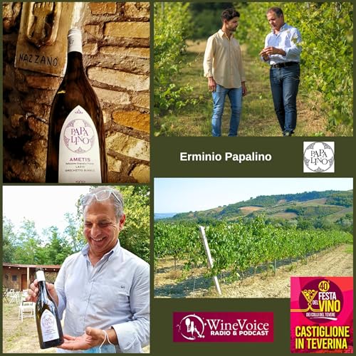 Le Terre del Vino: 40&deg; Festa del Vino Colli del Tevere - PAPALINO (Lazio) copertina