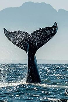 Paperback Whale Journal Book