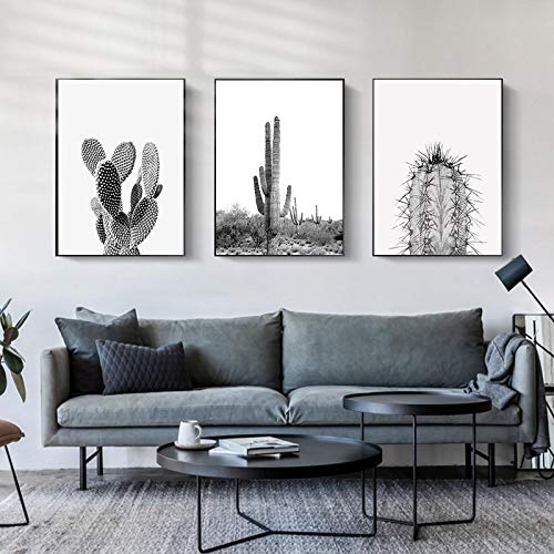 Affiches et gravures cactus moderne tableau noir et blanc 60x80cm déco murale salon