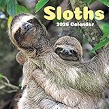 TF Publishing 2026 Sloths Wall Calendar - Large Grids for Appointments and Scheduling - Vertical Monthly Wall Calendar 2026 with Premium Gloss Paper for Home and Office Organization - 12in x 12in