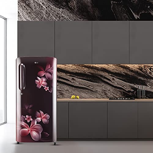 Image of LG 185 L 3 Star Direct-Cool Single Door Refrigerator Appliance (GL-B201ASPD, Scarlet Plumeria, Moist 'N' Fresh, Gross Volume- 190 L)