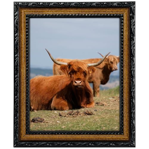 Image of Black 8x10 Picture Frame Wood Gold Frames Ornate | Real Glass, Matted 5x7 or 8 x 10 Photos, Easy Photo Changes, Tabletop or Wall Hanging