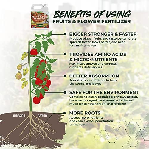 Best Hibiscus Fertilizers In 2023 The Reviews You Were Looking For On