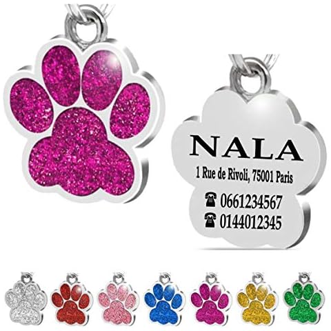 Médaille Chien avec Gravure Ibera Cover