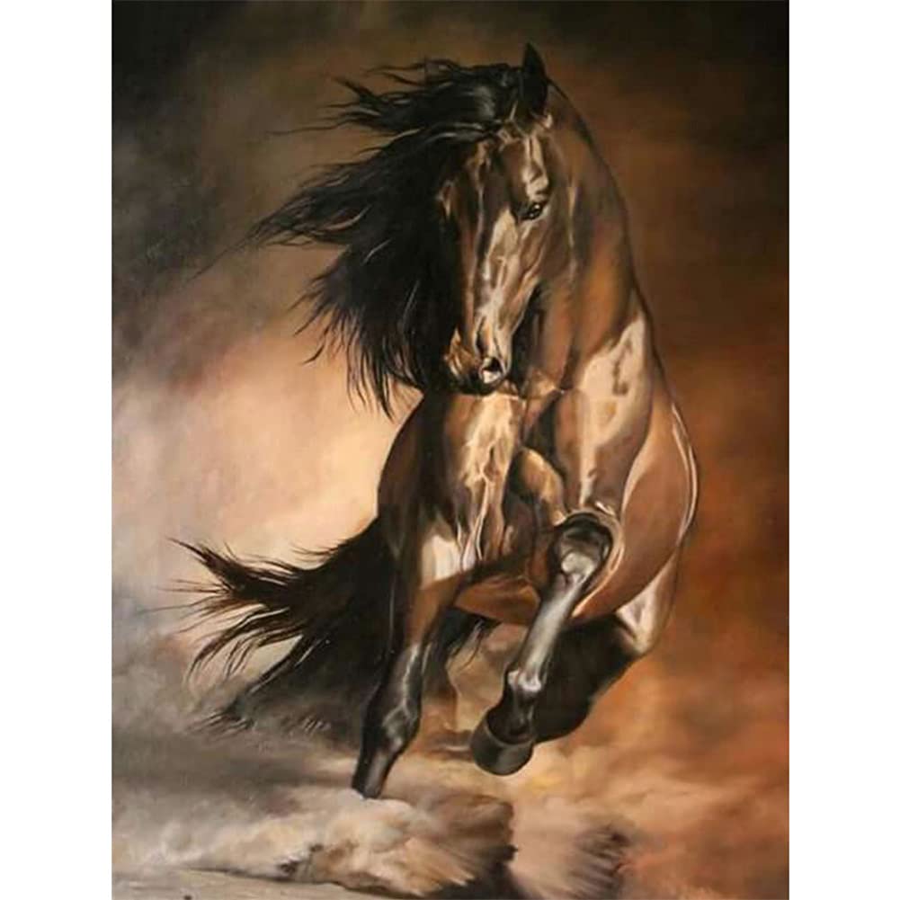FURYIGOLD Pittura Diamante 5D Fai da Te Kit(Cavallo 25x30cm) Numerici Adulto Trapano Pieno Grande Full Drill Immagine di Strass Artigianato per la Decor Della Soggiorno Parete di Casa