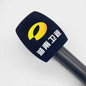 Customized Flocking Microphone Sponge Printing Logo Covers Mic Windscreen Foam Windshield For TV Stations Reporters Interview (Black)