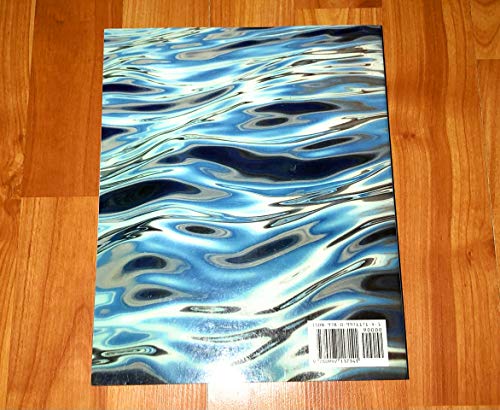 Business and Society: A Strategic Approach to S... 0997117141 Book Cover