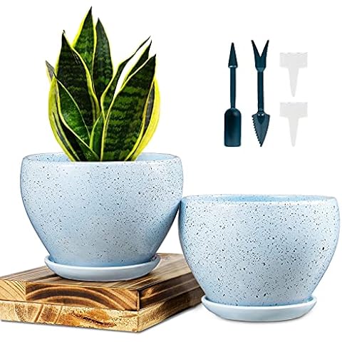 Livabber 5 Inch Round Ceramic Planters with Connected Saucer and Drainage Hole for Succulent Snake Plants, Jade Plant, Herbs Suitable for Home Office Decor 2 Pack- Plants Not Included (Light Blue) Cover