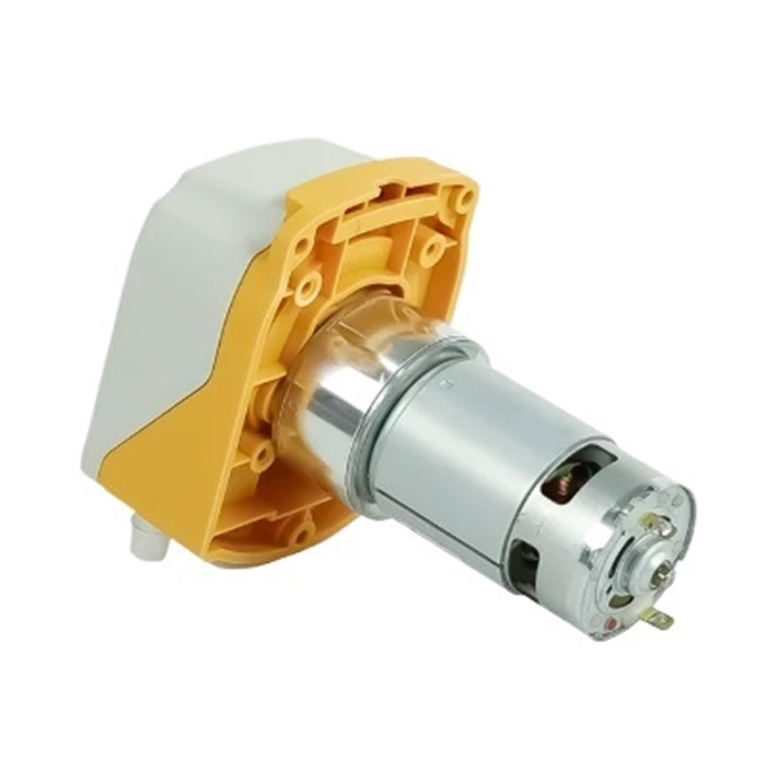 ZL-24V-507R-69 Peristaltic Metering Pump