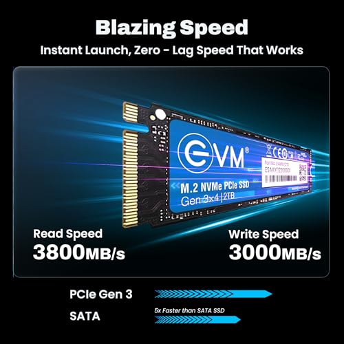 Image of EVM 2TB NVMe Gen 3x4 Internal SSD (2280) - Upto 3800MB /s Read & 3000MB /s Write | PCIe 3.0 M.2 Solid State Drive for Gaming, Laptops & Desktops | Shock Resistant & 5-Year Warranty (EVMNV /2TB)