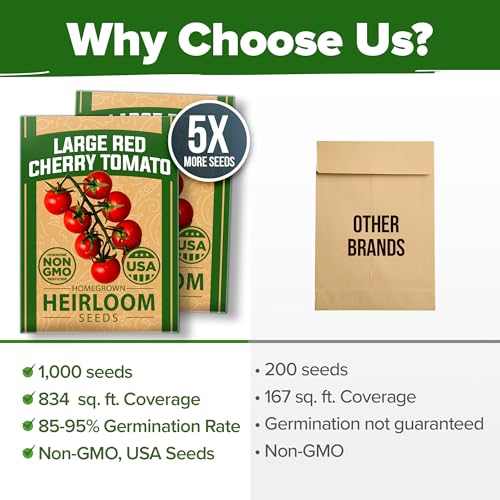Image of HOME GROWN Large Red Cherry Tomato Seeds 1000+ Heirloom Non-GMO Seeds for Planting, High Germination,Indeterminate, Sweet & Juicy Salad Tomatoes,Prolific Garden Crop,Sustainable (Solanum lycopersicum)