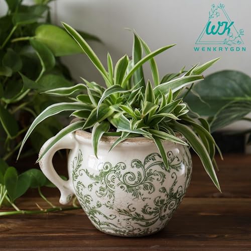 Pots de fleurs amusants en pack de 2 avec finition céramique rétro et rustique