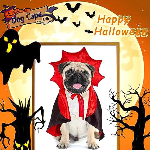 Disfraz Halloween para perro grande, 2 piezas alas y capa vampiro miniatura 7