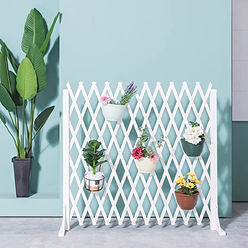 Panel de valla portátil de madera maciza para perros para plantas trepadoras al aire libre, jardín, pared de división decorativa expandible temporal (marrón/blanco, 160 x 80 cm)