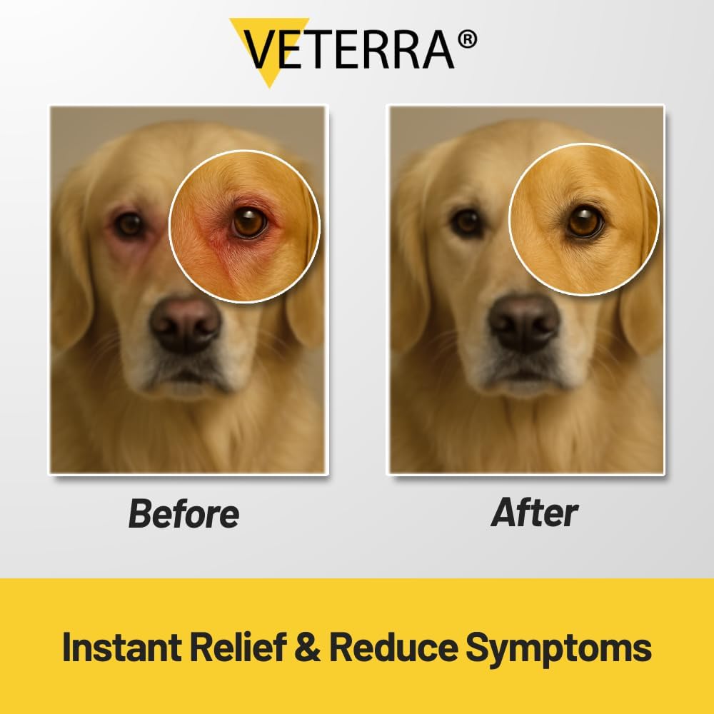 Pet Eye Drops | Pet Eye Health Formula - Treats & Prevents Eye Diseases in Dogs & Cats (Conjunctivitis, Tear Duct Obstruction, Corneal Ulcers) - Soothing Relief for Irritated Eyes 5 ml - Image 6