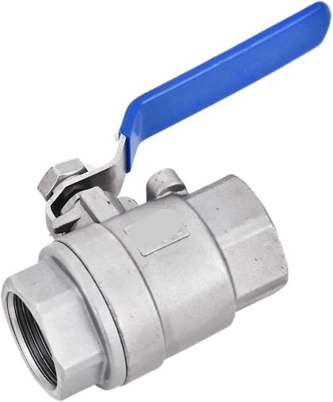 引取限定】ソテツ《5ヘッド・H＝約1.15m・14号》23 引き取り決定