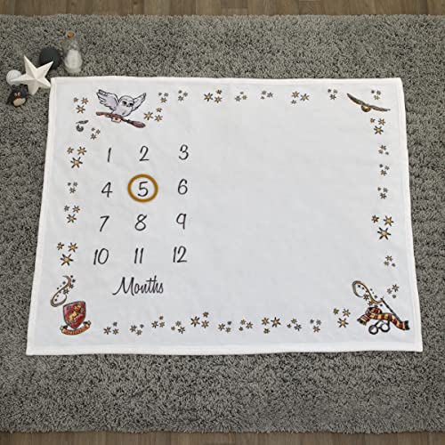 Image of Warner Brothers Harry Potter Magical Moments White and Gold Milestone Baby Blanket