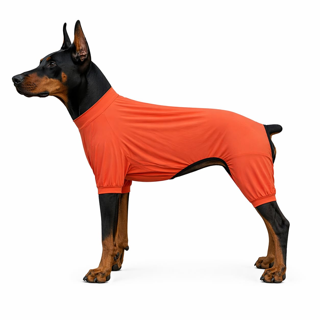 Combinaison pour chien protection UV vêtement été rose 3XL