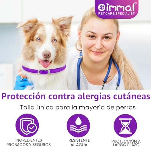 Miniatura 4 de Collar Antigarrapatas Para Perros, 4 Unidades, Antipulgas Para Perros, Ajustable, 60 Cm, Protección Eficaz Contra Garrapatas Y Pulgas, Resistente Al Agua