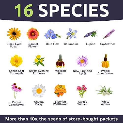 Perennial Wildflower Seeds Mixture - Bulk 1 Ounce Packet - Over 15,000 Pure Live Seed - Open Pollinated And Non Gmo #TOP3
