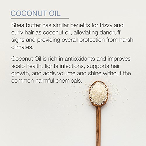 Coconut Oil Hair Mask, Deep Conditioning Hair Treatment for Dry Damaged and Color Treated Hair, Sulfate Free Hair Conditioner, Moisturizes, Repairs by Pure Body Naturals, 8.8 Fl Oz - Thumbnail 3