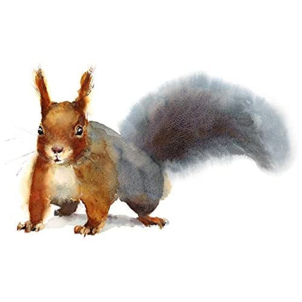 Wee Blue Coo Squirrel Watercolour Cute Unframed Art Print Poster Wall Decor 12x16 inch