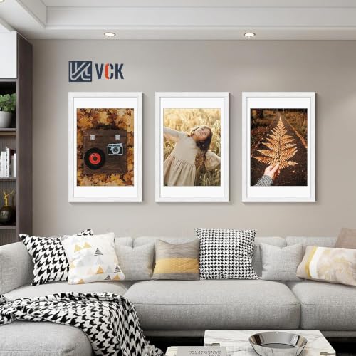 Image of VCK 20x30 Picture Frame 5 Pack, White Exclusive Wood, 18x24 Mat, for Print
