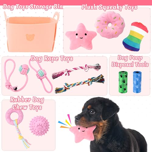 Ousiya 12er Set Welpenspielzeug, kleines Hundespielzeug, Welpenkauspielzeug mit Aufbewahrungsbox,Kauspielzeug für kleine und mittelgroße Hunde, zum Spielen