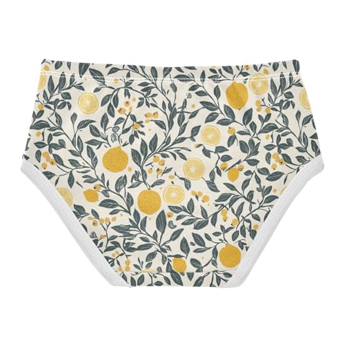 ZZKKO Summer Lemon Farmhouse Girls Underwear Toddler Panties for Girls Comfort Brief Size 2-8T2