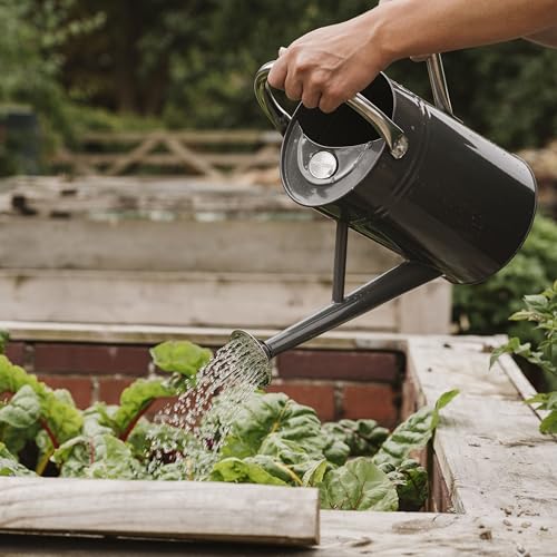 Kent & Stowe 4,5 Liter Vintage Gießkanne in steingrau – Verzinkte Stahlkanne für das tägliche Gießen – Kanne im klassisch englischen Stil mit 2 Griffen