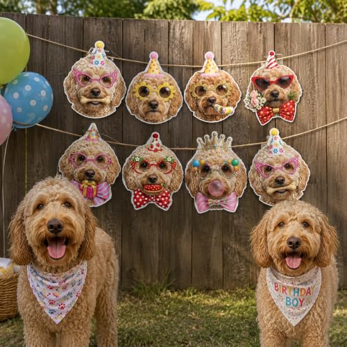 Image of Goldendoodle Birthday Banner, Dog Party Decorations Garland Doodle Gifts | 8 Unique Doodle Faces, Pre-Strung, Easy to Hang