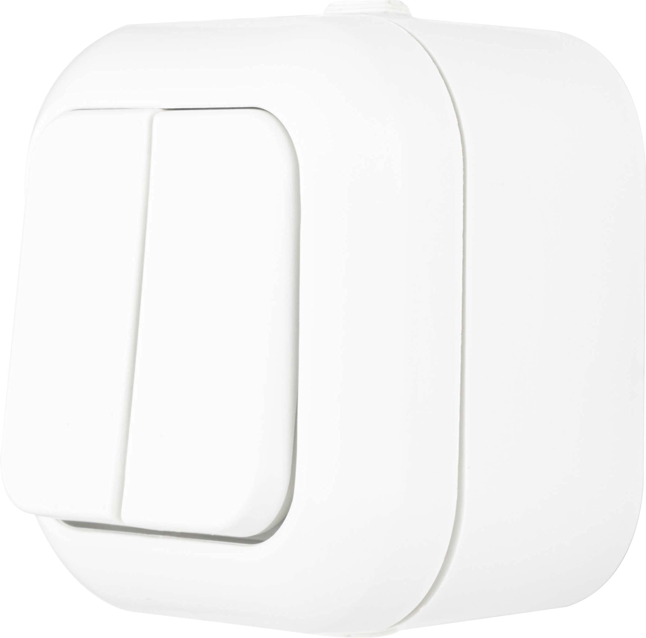 REV 005405 Atlantic Series Switch, Wet Room IP44, Two-Pole, Surface-Mounted, Schalter