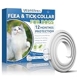Wansiven Collare Antipulci per Gatti, Collare Antizecche Naturale Regolabile 48 cm, Protezione 12 Mesi (Blu-1pcs)