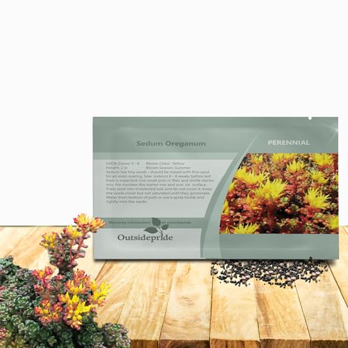Outsidepride Oreganum Sedum Seeds - 1000 Pcs Perennial Ground Cover