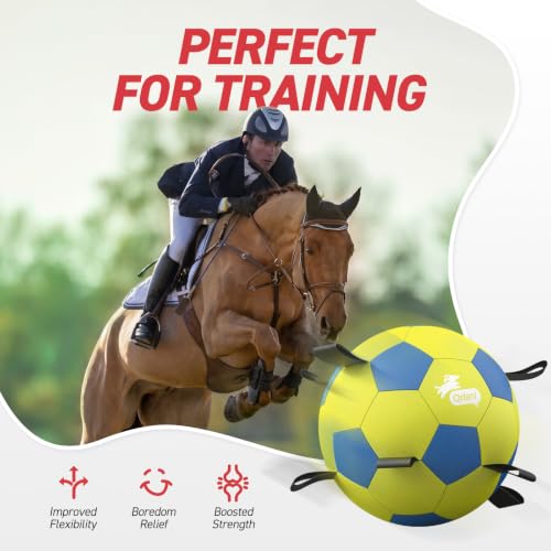Image of QDAN 25 Inch Herding Ball for Dog with Straps, Outdoor Dog Toys for Herding | Interactive Large Dog Herding Ball Chasing Training, Dog Ball for Border Collie, Australian Shepherd, Blue Heeler & Horses