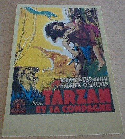 Preisvergleich Produktbild Displayschutzfolie Cedric Gibbons Tarzans Vergeltung 10 x 15 cm Postkarte