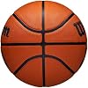 WILSON NBA Authentic Series Outdoor Basketballs