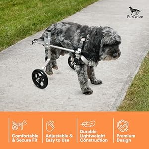   Dog-Wheelchair-for-Back-Legs--Small-Medium-Large--Lightweight-Aluminum-Alloy-Adjustable-Wheelchair-for-Dogs-with-Disabled-Hind-Legs--Cat-Wheelchair-Dog-Carts-with-Wheels