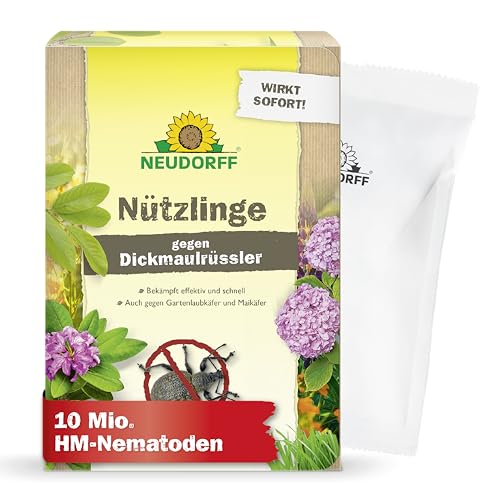 Neudorff Nützlinge gegen Dickmaulrüssler und Engerlinge 10 Mio. HM-Nematoden für 20 m Bekämpft auch Junikäfer Maikäfer Rüsselkäfer und Gartenlaubkäfer