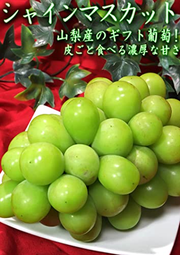 産地から玄関へ 温室シャインマスカット 種無し葡萄 2~3房入り 約800~1kg の商品画像 1