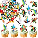 List of Colorful Tropical Birds 8 40pcs Edible Colorful Parrot Cupcake Toppers Tropical Cute Parrots Cupcake Picks for Birds Baby Shower Kids Boys Girls Birthday Cake Decors Bird Love Day Party Decorations Supplies