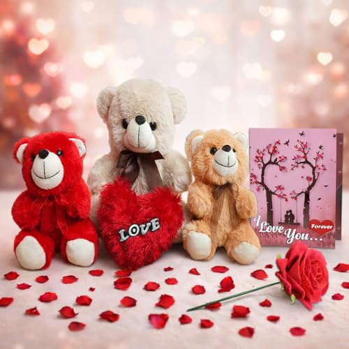 Valentine’s Day Gift Combo for Girlfriend/Wife, on Birthday & Ann...