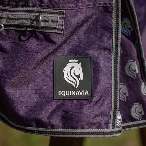 Image of Equinavia Norse Lightweight 100g Fill Horse Rain Blanket | Waterproof Turnout Sheet - Black - 66 in - Grape Purple - 69 in